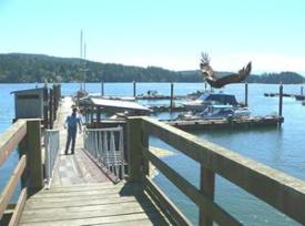 fishing charter at Abbeymoore